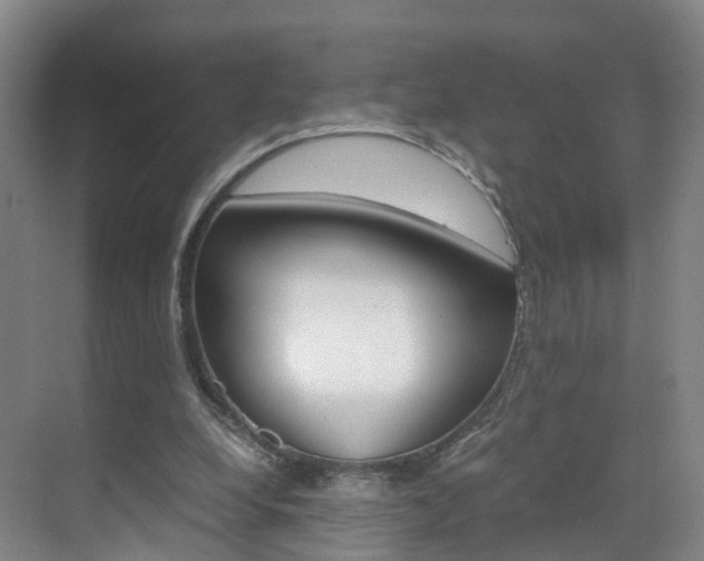 X0000071810248200606301043