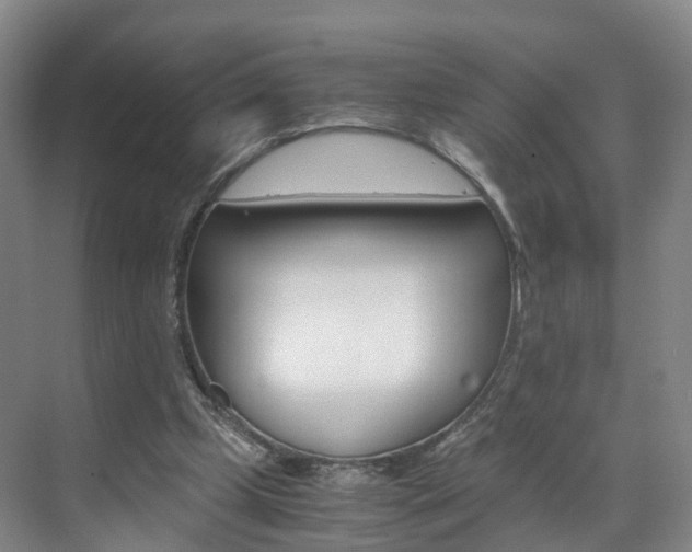 X0000071810249200606301043