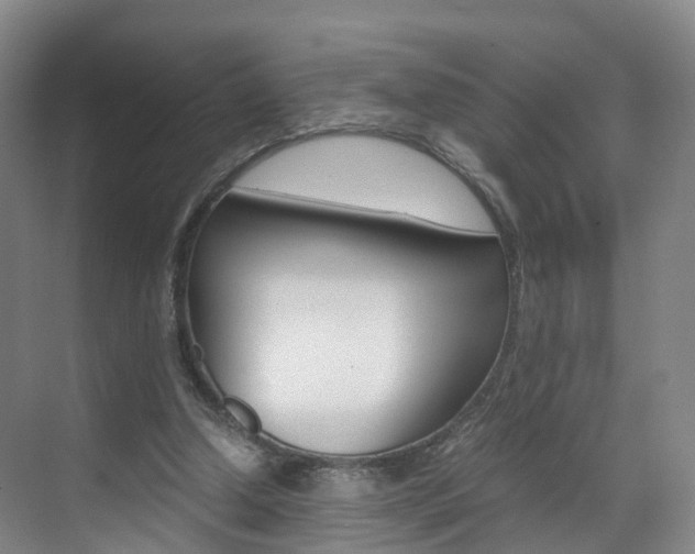 X0000071810250200606301043