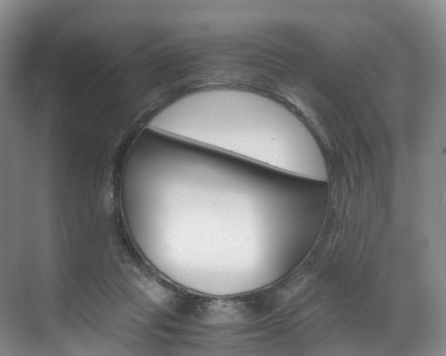 X0000071810261200606301043