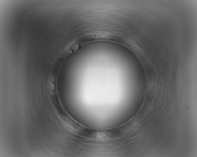 X0000071810264200606301043