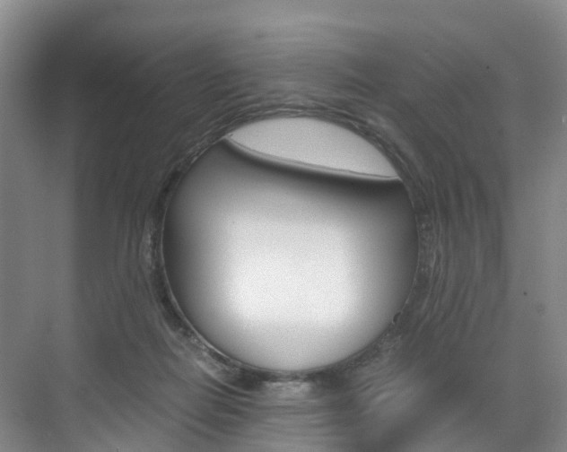 X0000071810266200606301043