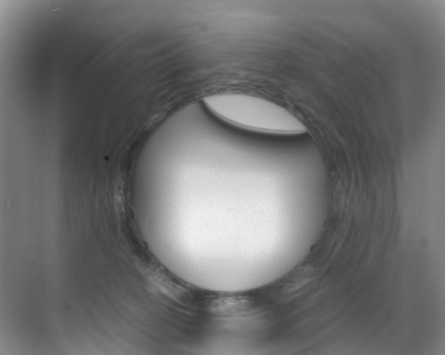 X0000071810274200606301043
