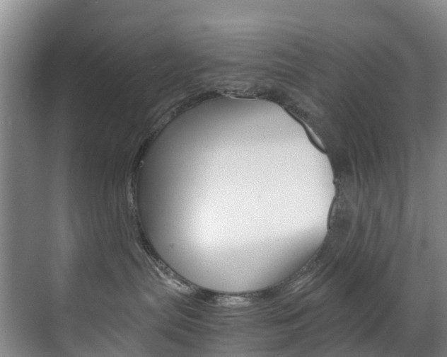 X0000071810287200606301043
