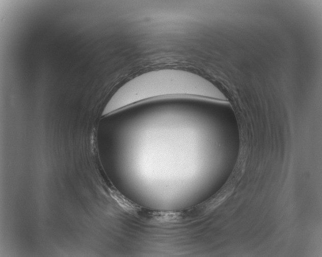 X0000071810288200606301043