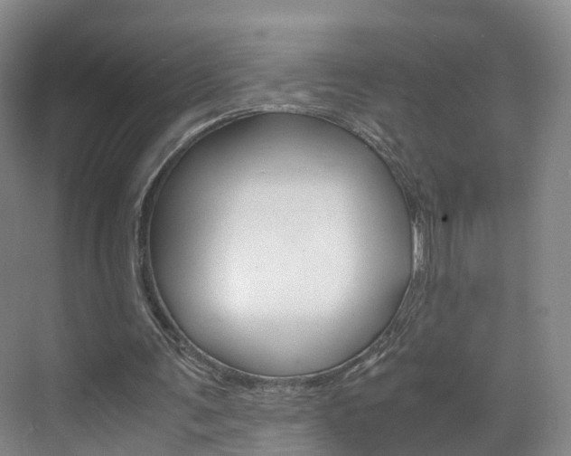 X0000071810291200606301042