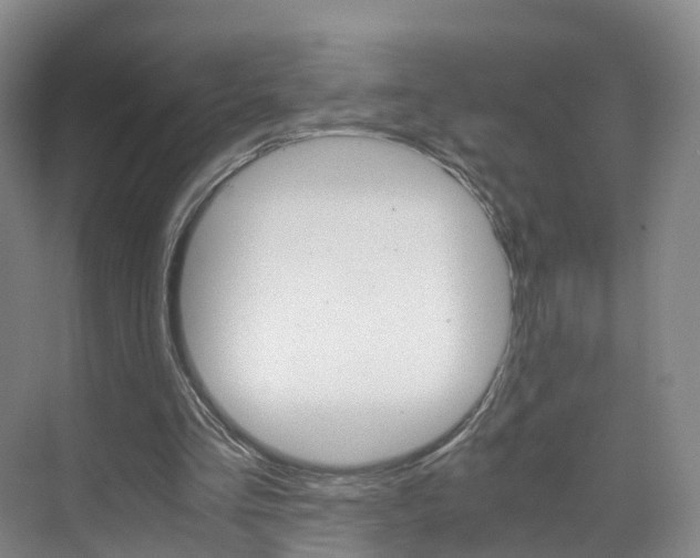 X0000071810293200606301042