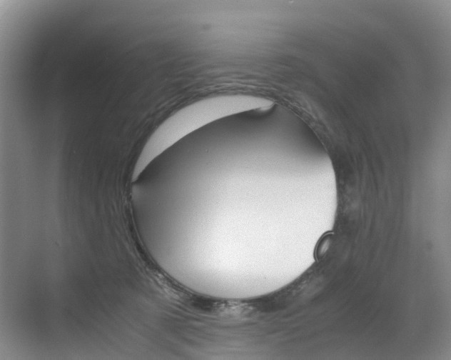 X0000071810321200606301042