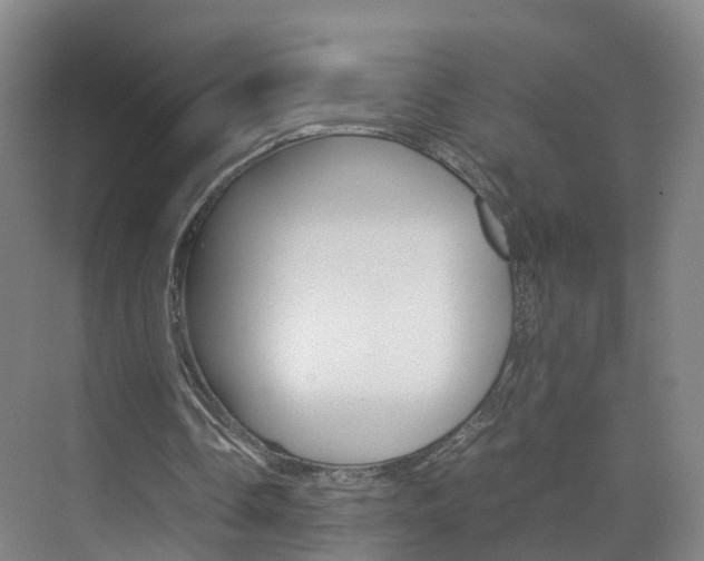 X0000071810338200606301041