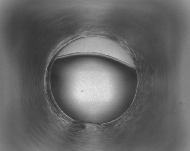 X0000071810340200606301041