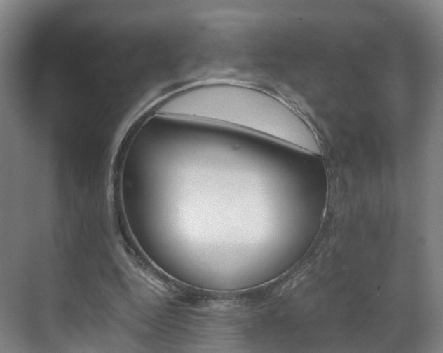 X0000071810344200606301041