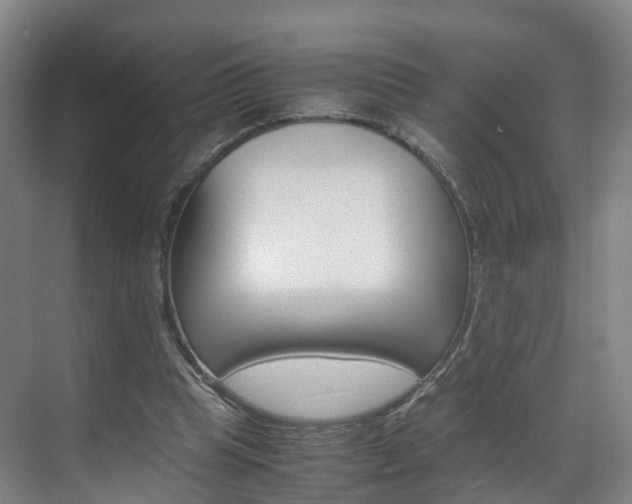 X0000071810345200606301041
