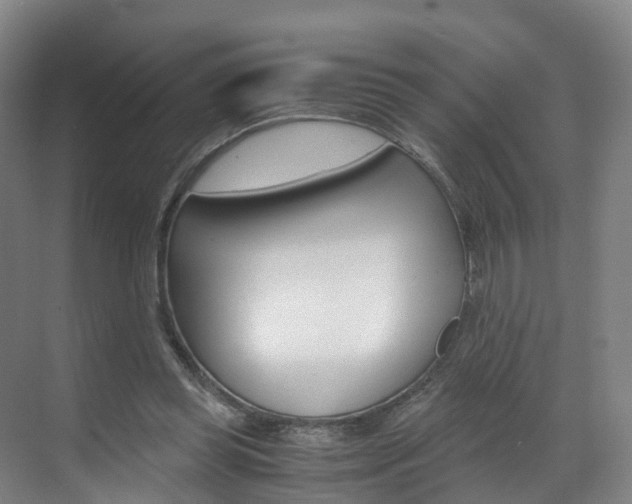 X0000071810349200606301041