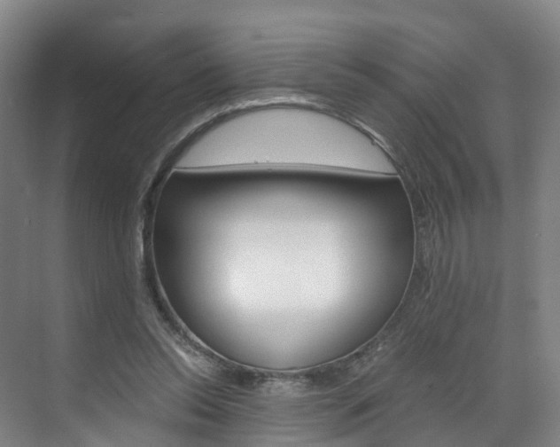 X0000071810350200606301041
