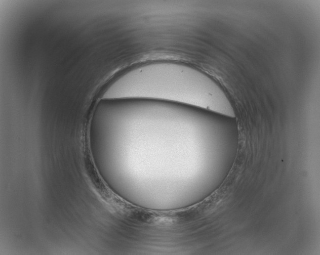 X0000071810352200606301041