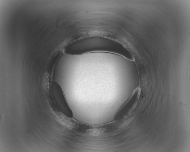 X0000071810356200606301041