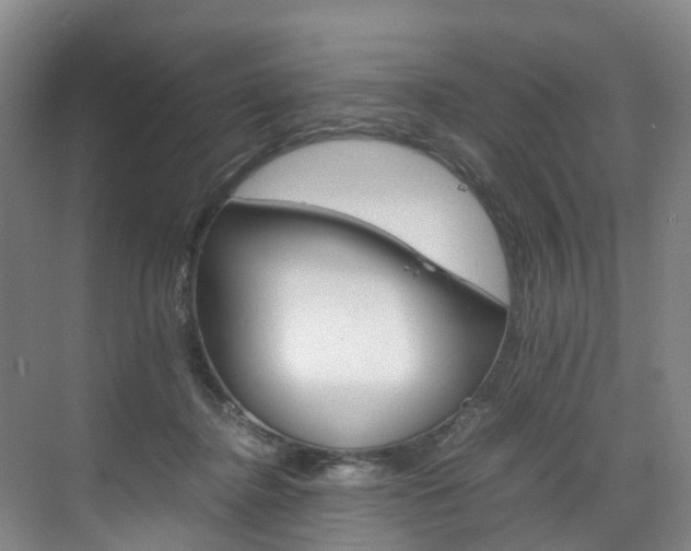 X0000071810364200606301041