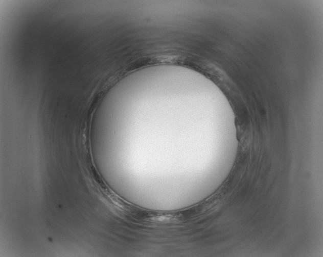 X0000071810365200606301041