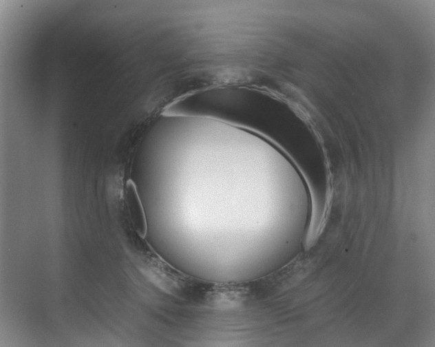 X0000071810368200606301041