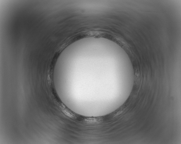 X0000071810381200606301042