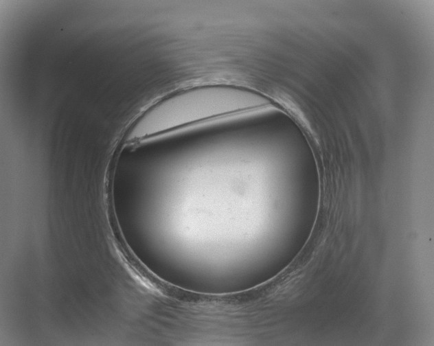 X0000071810389200606301041