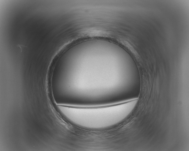 X0000071810391200606301041