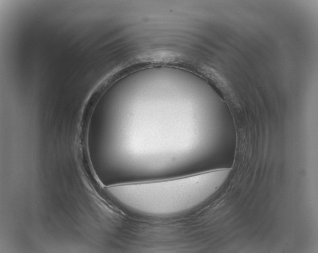 X0000071810392200606301041
