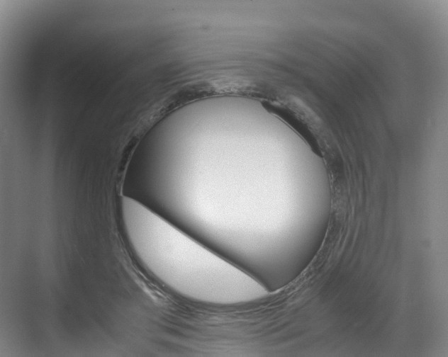 X0000071810405200606301041