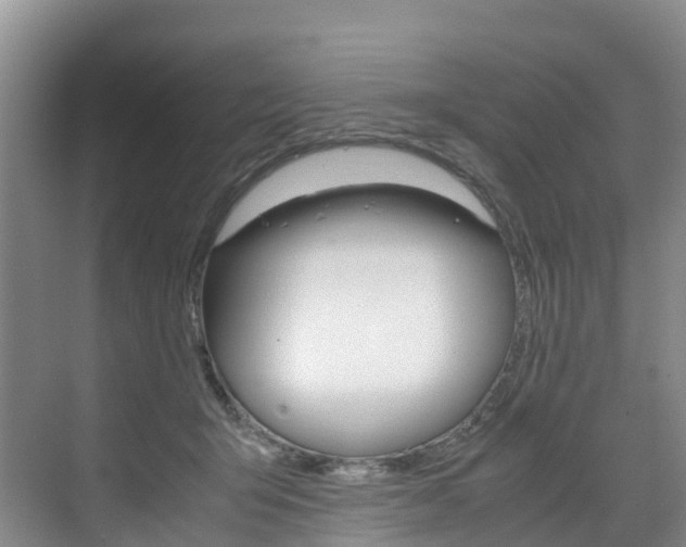 X0000071810415200606301040