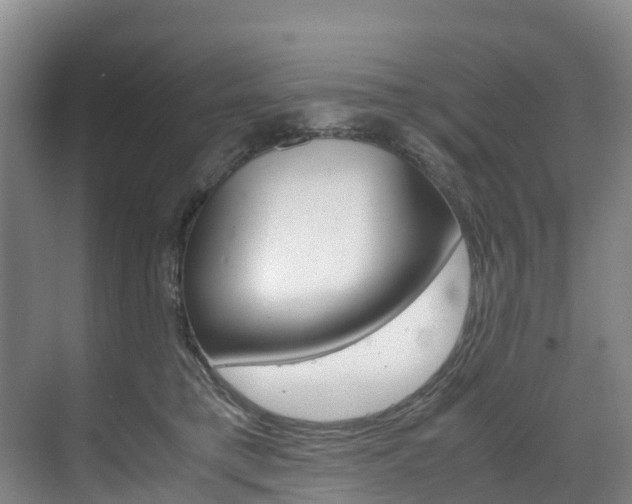 X0000071810421200606301040