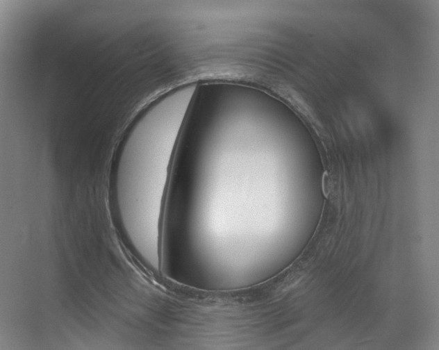 X0000071810434200606301039