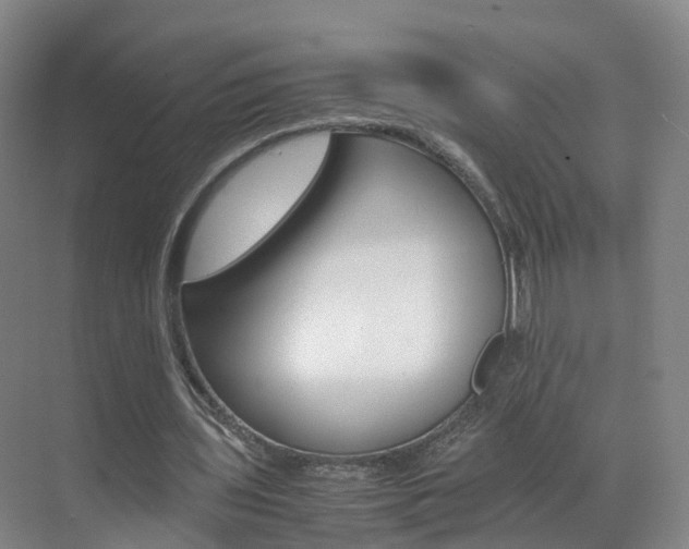 X0000071810435200606301039