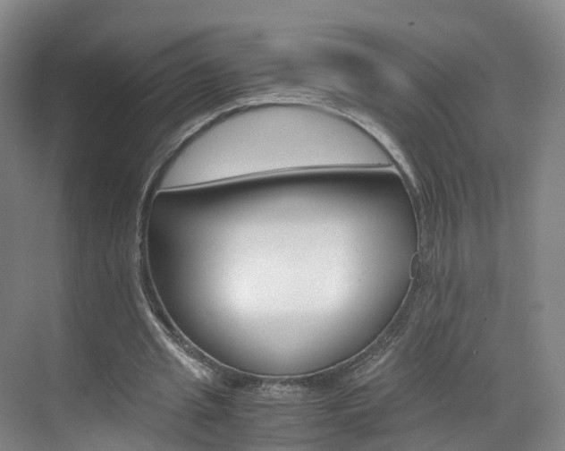 X0000071810437200606301039