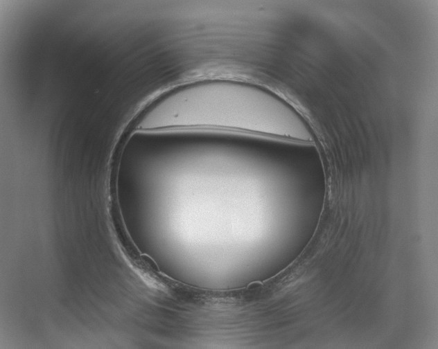 X0000071810438200606301039