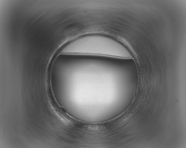 X0000071810439200606301039