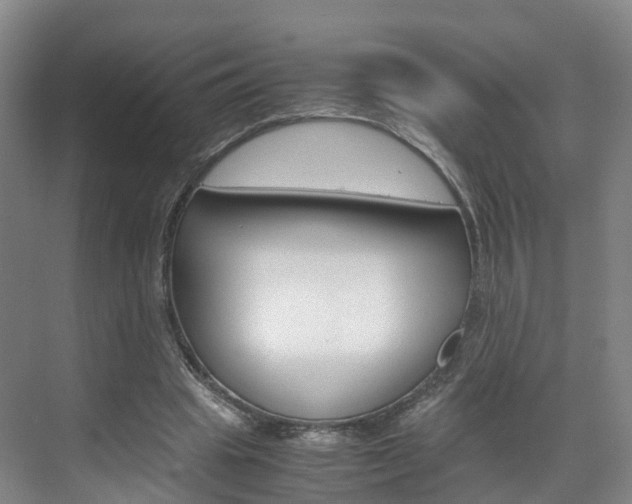 X0000071810441200606301039