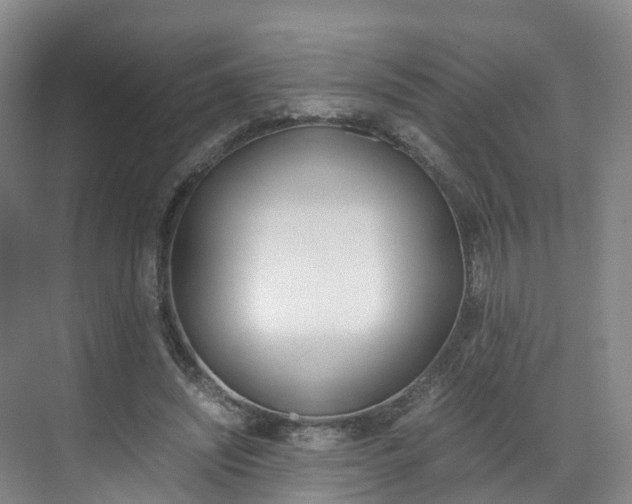 X0000071810444200606301039