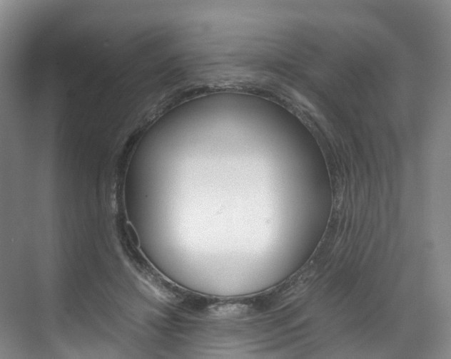 X0000071810452200606301040