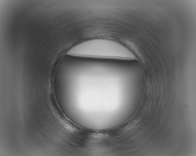 X0000071810453200606301040