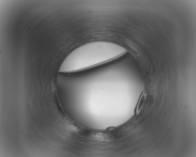 X0000071810467200606301040