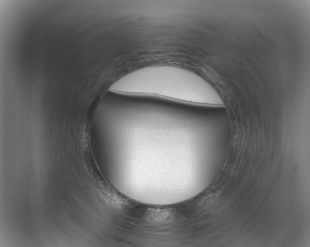 X0000071810469200606301040