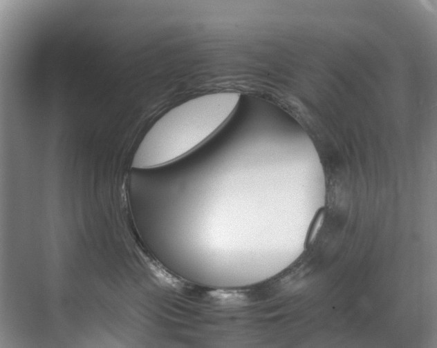 X0000071810477200606301040