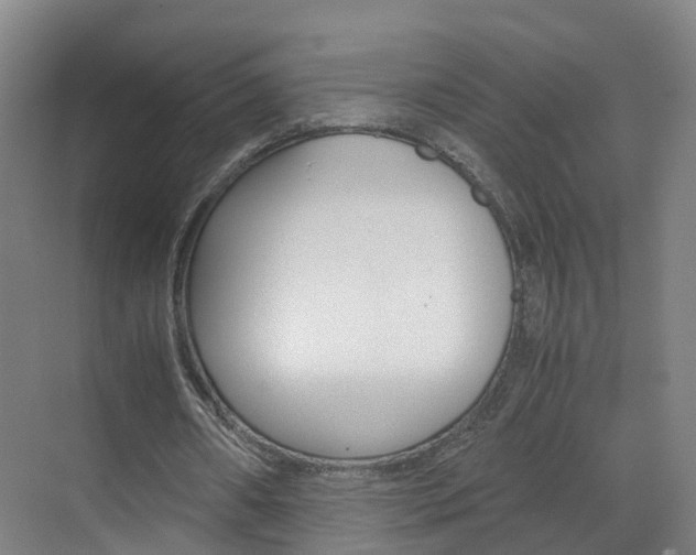 X0000071810482200606301039