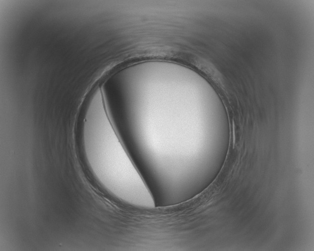 X0000071810483200606301039
