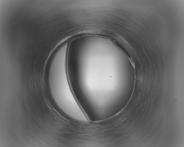 X0000071810484200606301039