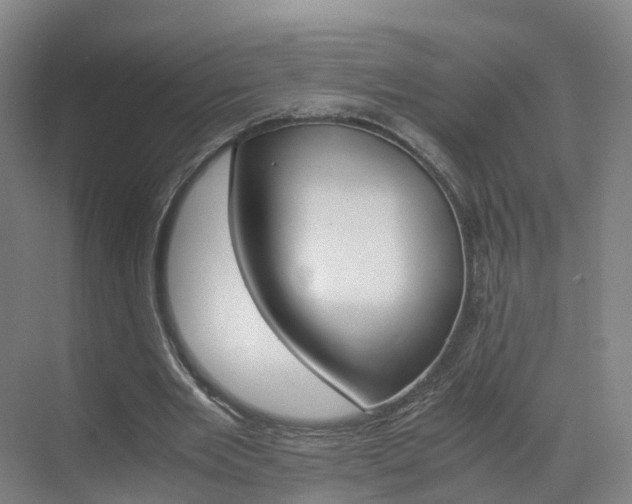 X0000071810485200606301039