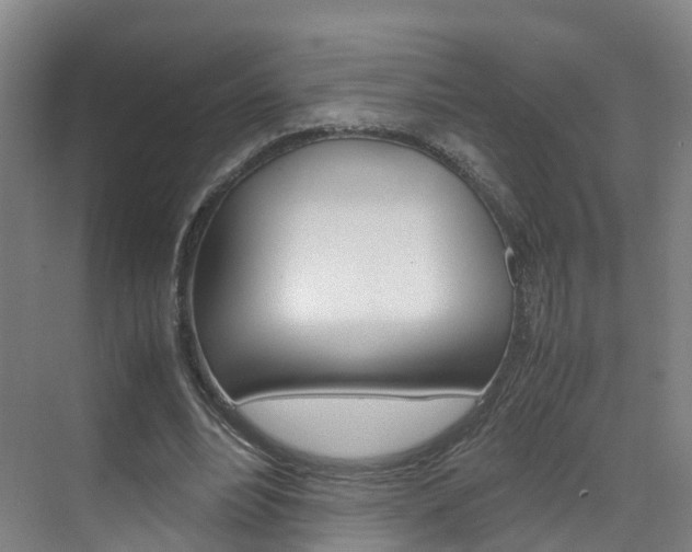 X0000071810488200606301039