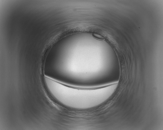 X0000071810493200606301039