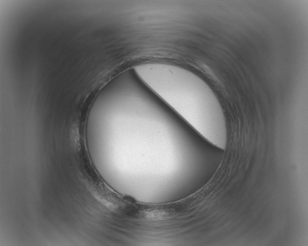 X0000071810500200606301039