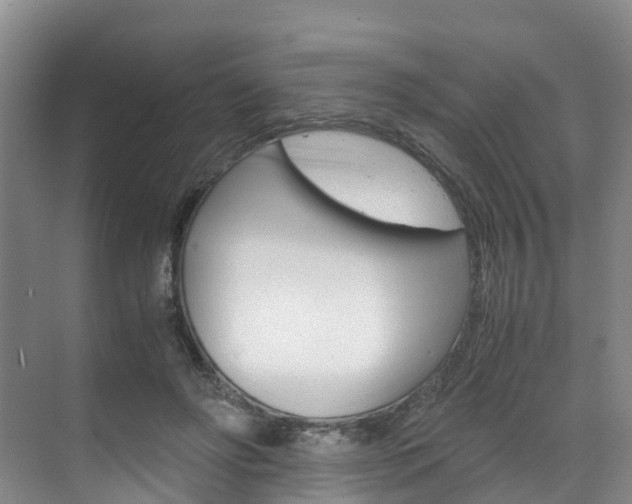 X0000071810502200606301039